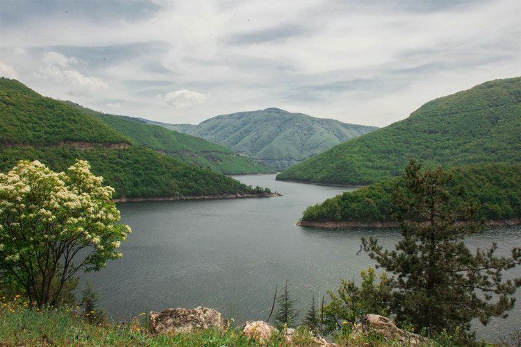 xșzyx