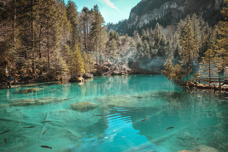 ȃx